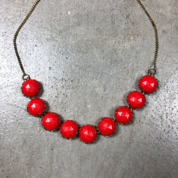 Lizard Queenz Closet - Picture 3 of 5